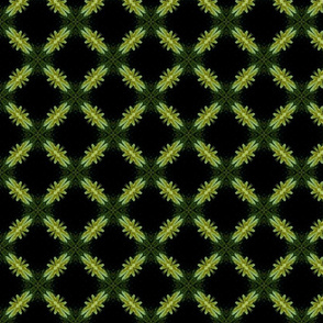 Starry Squares Pattern Green Black