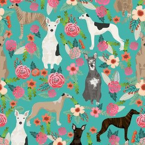 whippet florals mixed coats dog breed fabric teal blue