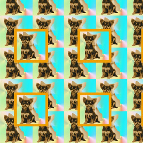 chihuahua kaleidoscope