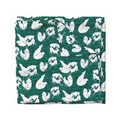 Arctic foxes in mint and black