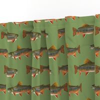 brook trout (5.5")  on vintage green