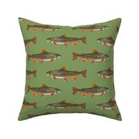 brook trout (5.5")  on vintage green