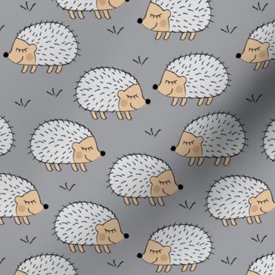 hedgehogs on grey