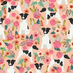 smooth fox terrier black and white coat floral fabric blush