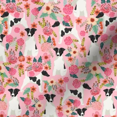 smooth fox terrier black and white coat floral fabric pink