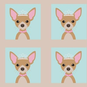 Chihuahua Princess