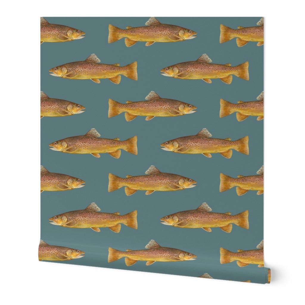 brown trout on slate blue