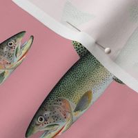 cutthroat trout on rosebud pink