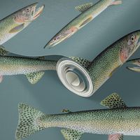 cutthroat trout on slate blue