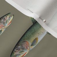 cutthroat trout on pewter grey