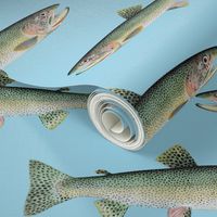 cutthroat trout on light blue
