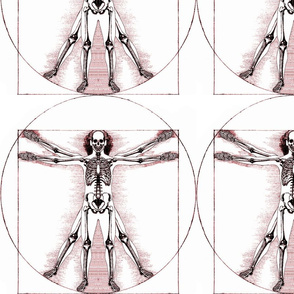 6 no words Vitruvian Man skeleton Leonardo da Vinci classical Renaissance anatomy anatomical studies portraits ratios sepia antique architecture circles squares body proportions mathematics art 