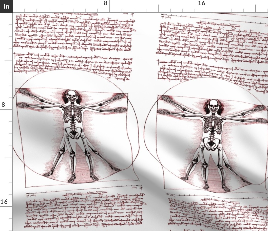 5 Vitruvian Man skeleton Leonardo da Vinci classical Renaissance anatomy anatomical studies portraits ratios sepia antique nude naked architecture nudity circles squares body proportions mathematics art