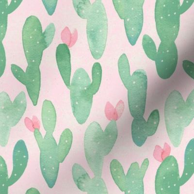 Summer Cacti // Light Pink