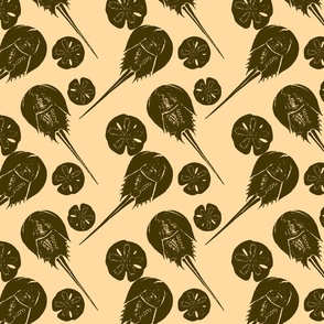 horseshoe crabs and sand dollars tar on khaki