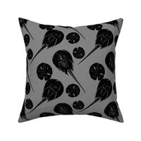 horseshoe crabs and sand dollars black on gray