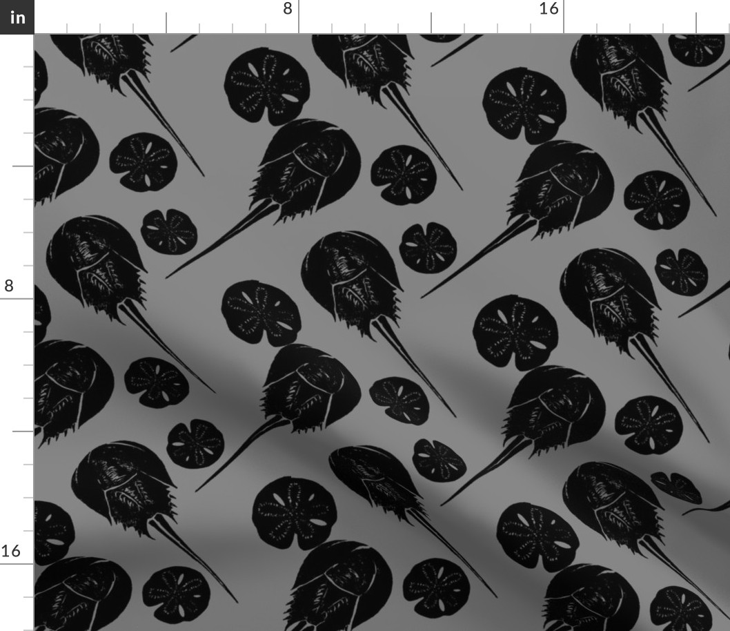 horseshoe crabs and sand dollars black on gray