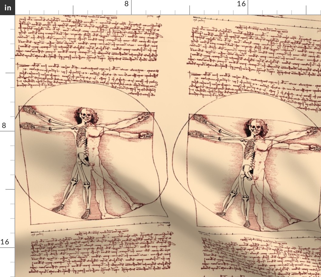 3 uncensored Vitruvian Man Leonardo da Vinci classical Renaissance anatomy anatomical studies portraits sepia antique nude naked half skeleton skulls ratios brown architecture nudity circles squares body proportions mathematics art 