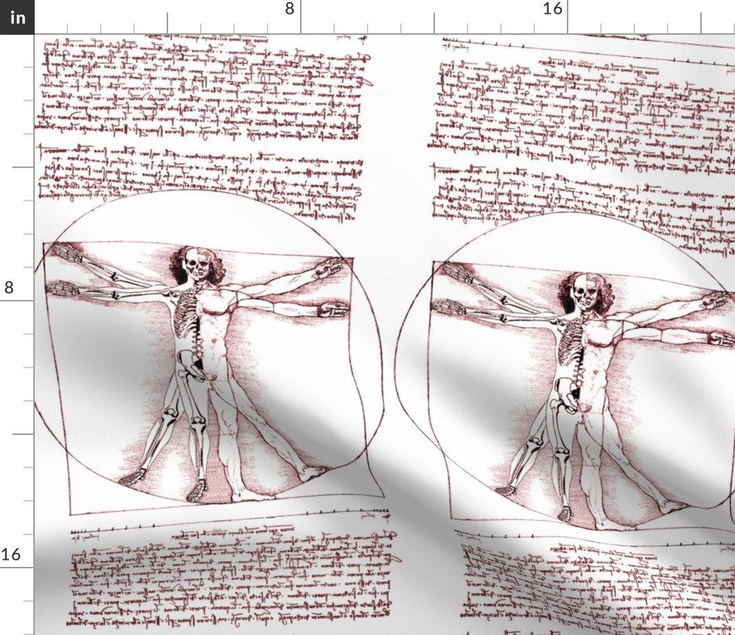 12 uncensored Vitruvian Man Leonardo da Vinci classical Renaissance anatomy anatomical studies portraits sepia antique nude naked half skeleton skulls ratios brown architecture nudity circles squares body proportions mathematics art  