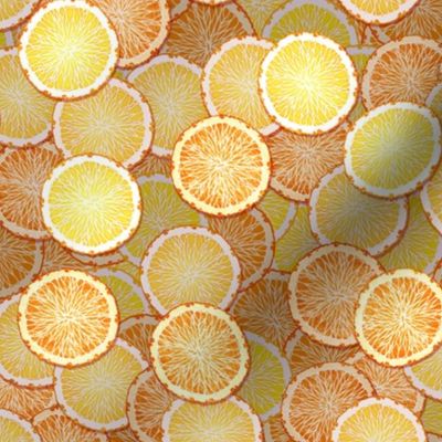 Citrus Sliced Redux