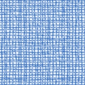 Light Blue Burlap Texture