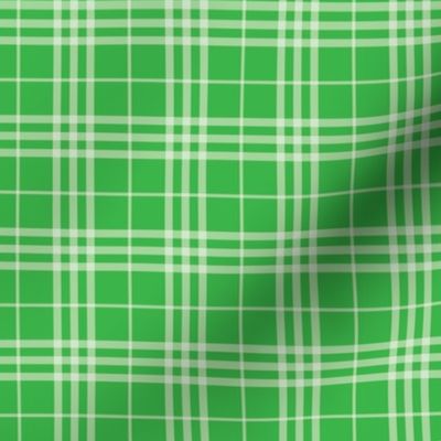Green Plaid // Watermelon Collection