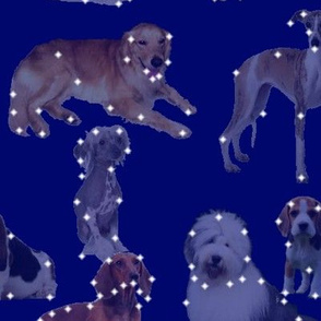 Best Constellations Ever