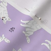 Tiny White Shepherd dogs - purple