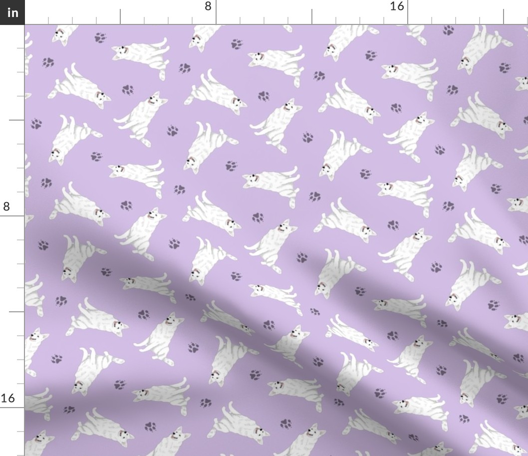 Tiny White Shepherd dogs - purple