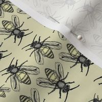 bees pattern