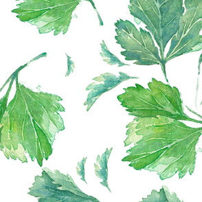 Parsley Pattern