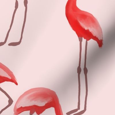 Flamingos - Pink