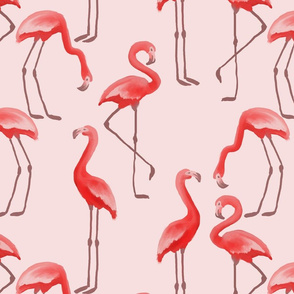 Flamingos - Pink