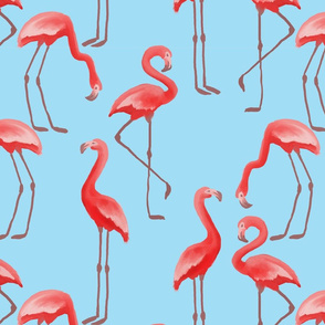 Flamingos - Azure
