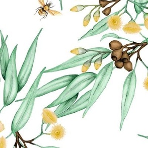 Eucalyptus Yellow Blossoms & Bees // large