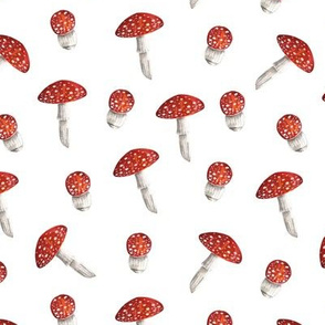 Mushrooms. Watercolor