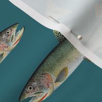 cutthroat trout on deep teal green