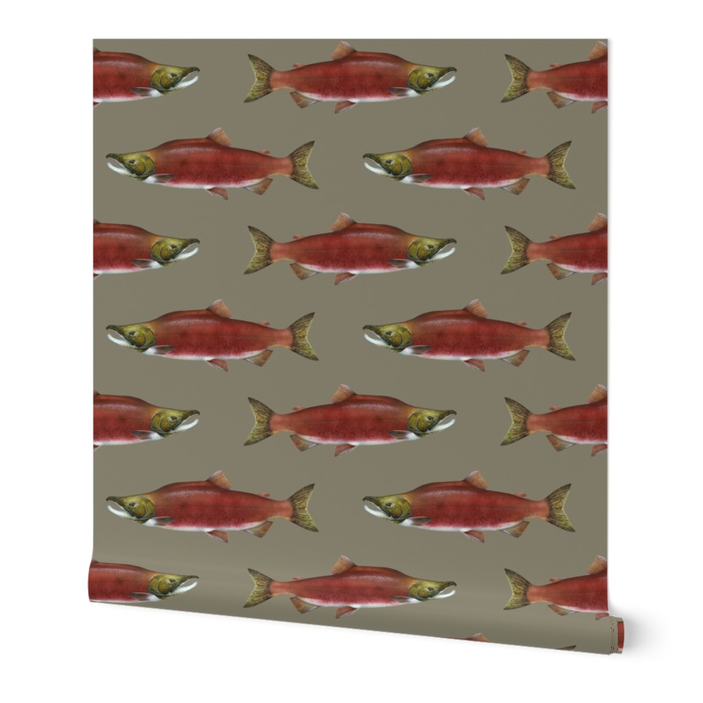 sockeye salmon on pewter grey