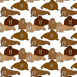 Caramel Walruses