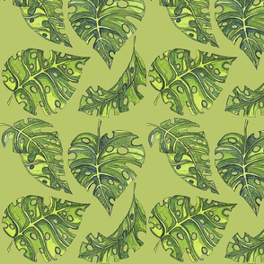 im a monstera green 10x10