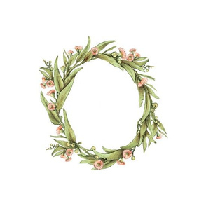 Wreath Eucalyptus, 7 inch wide, 4 inch apart