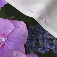 Hydrangea Painted Pinks and Purple