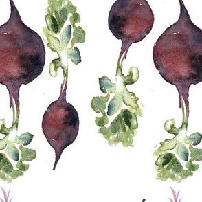 Beetroot family