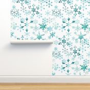 Snowflake Crystals on White