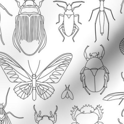 Bugs Coloring In Fabric