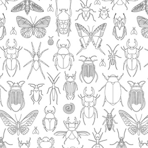 Bugs Coloring In Fabric