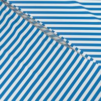 Turquoise Blue and White Quarter Inch Vertical Stripes