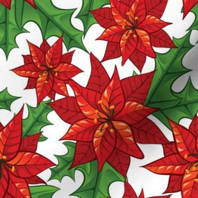 Pointsettia