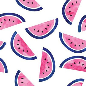 watercolor watermelons - pink and blue 
