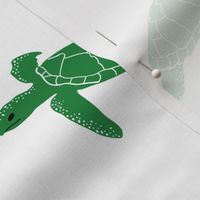 green turtles